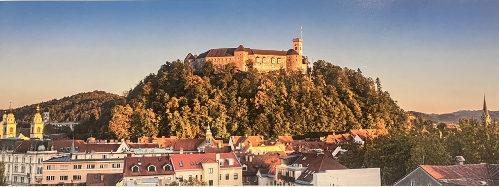 London Diagnostic Dermatopathology